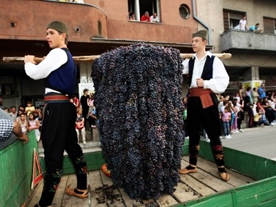 Grozdjenbal