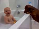 Klinac koji uživa u kupanju i zadirkivanju psa (VIDEO)