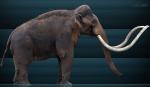 Pronađen DNK hibridnog mamuta! (video)