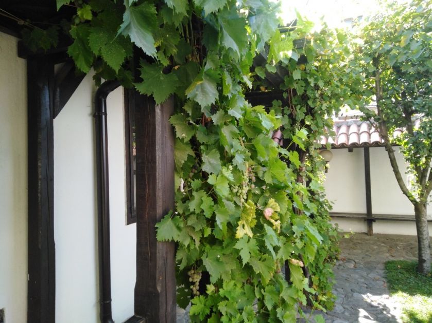Vlasotince: 34. „Vinski bal“ 23 – 24. avgusta, program, nastupa Dragana Mirković