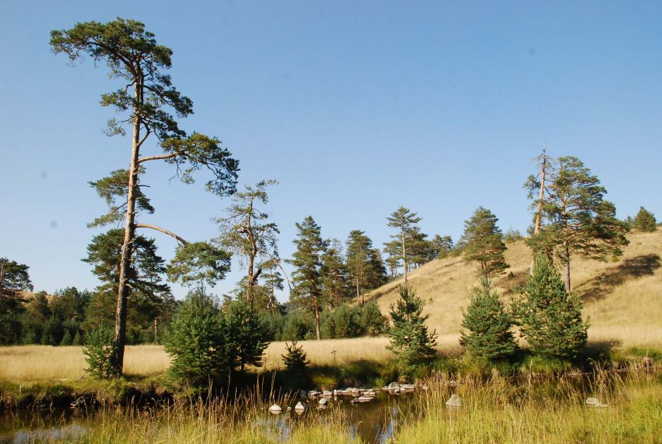 Zlatibor najposećenija planina u Srbiji i u septembru