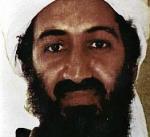 Bin Laden regrutuje „bele teroriste“