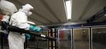 Brzo širenje virusa gripa u Japanu, prva žrtva u Njujorku