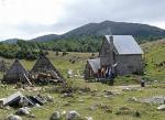 Ćeranje sa kurjacima