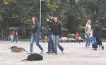 Grizu decu i budžet