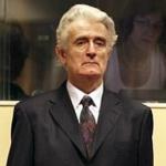 Hag odobrio susret Karadžić – Goldberg