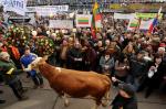 Hiljade gnevnih farmera prosipalo mleko po ulicama Praga