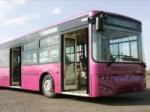 Ikarbus šalje 35 autobusa u Italiju