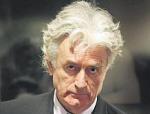 Karadžić traži spise od Nemaca