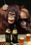 Majmunima dali vino zbog gripa