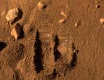 Na Marsu otkriven led