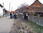 Najdanovi krugovi svaku boljku leče