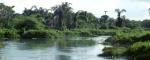 Najmanje 40 svatova utopilo se u reci u Nigeriji