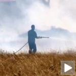 Novi šumski požari u Grčkoj