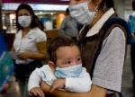 Odomaćivanje meksičkog gripa