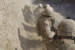 Opsežna vazdusna operacija americkih marinaca u Avganistanu
