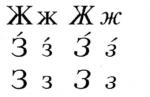 Osporen crnogorski pravopis