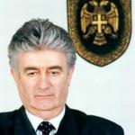 Politička karijera Radovana Karadžića 