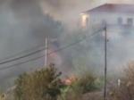 Požari besne u Grčkoj i na Kanarima