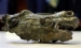 Pronađena bronzana glava konja iz rimskog doba