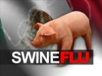 Prvi put izlečen svinjski grip