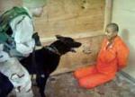Šest zatvorenika oslobođeno iz Gvantana