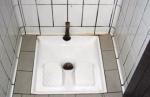 Simbol Bugarske u EU - toaleti čučavci