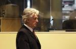 Smanjenje optužnice za brže suđenje Karadžiću