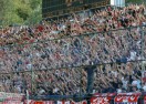 Suspenzija za FK Crvena zvezda (VIDEO)
