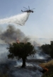 Tri aviona i dva helikoptera gase požar severno od Atine