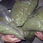 U Podgorici zaplenjeno 50 kilograma droge