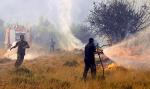 U vatrenoj stihiji izgorelo 100 hektara šuma