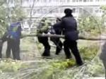 VIDEO: Ruski policajci u akciji protiv drveta
