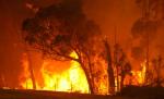 Vatrena stihija u Australiji odnela 108 života