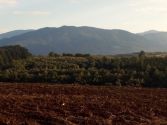 Leskovačko polje, jesen i druge stvari