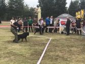 Međunarodna Izložba rotvajlera u Počekovini