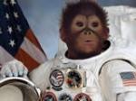 Kružno putovanje: Rusija planira slanje majmuna na Mars