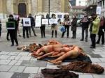 Nosiš krzno-nisi moderan: Međunarodni protest protiv upotrebe krzna