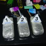 Presečen lanac krijumčarenja droge
