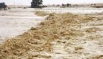 U poplavama u Egiptu i Izraelu poginulo osam osoba