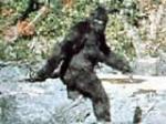 VIDEO / Ogromno, visoko i dlakavo stvorenje: Pronađeni tragovi Bigfoota u Texasu