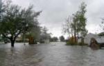 Beli Timok poplavio 250 kuća