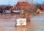 Beli Timok poplavio oko 300 kuća