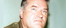 Bezbednosne službe podeljene oko Mladića