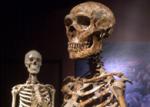 Bračni par zaveštao skelete muzeju
