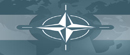 Čavoški: Cilj NATO pretresa - zastrašivanje