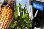 Farmers etanol planira izgradnju fabrike bioetanola u Srbiji