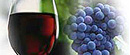 Međunarodni festival vina u Novom Sadu od 26. do 28. juna