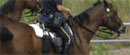 Nemački jahač suspendovan zbog dopinga konja 