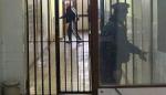 Po 20 i 18 godina zatvora zbog ubistva